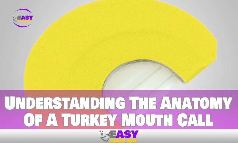 Understanding The Anatomy Of A Turkey Mouth Call