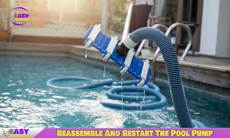 Reassemble And Restart The Pool Pump