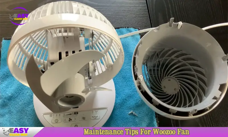 Maintenance Tips For Woozoo Fan