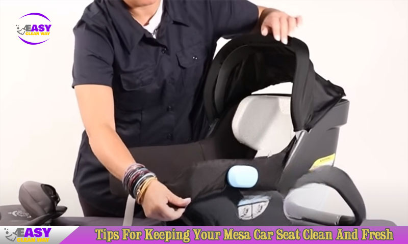 Tips For Keeping Your Mesa Car Seat Clean And Fresh