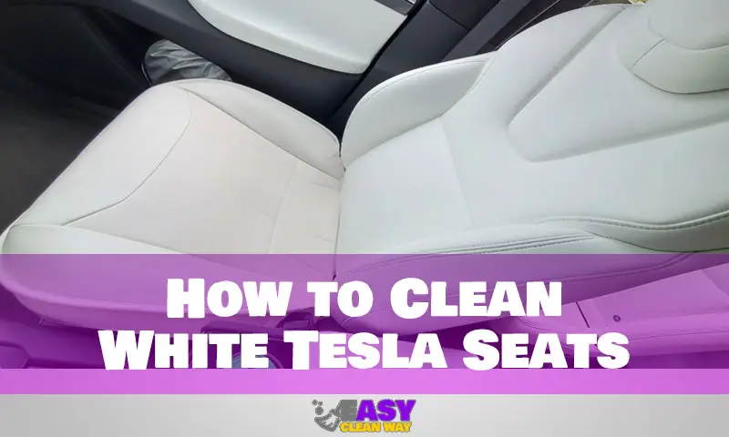 How to Clean White Tesla Seats