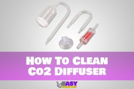 How To Clean Co2 Diffuser Step by Step Guide