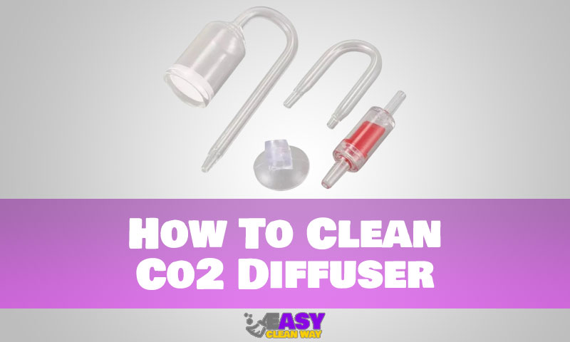 How To Clean Co2 Diffuser