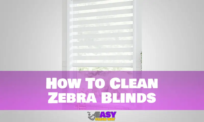 How To Clean Zebra Blinds