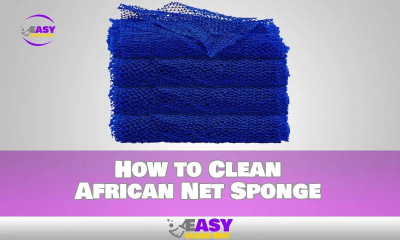 How to Clean African Net Sponge