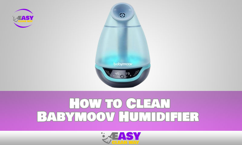 How to Clean Babymoov Humidifier