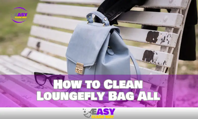 How to Clean Loungefly Bag All