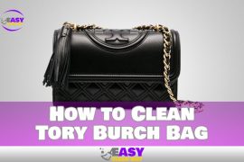 How to Clean Tory Burch Bag Step by Step Guideline