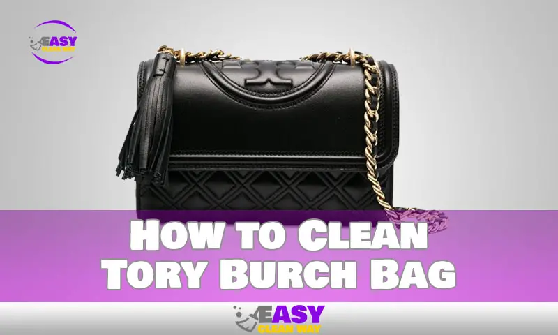 How to Clean Tory Burch Bag Step by Step Guideline
