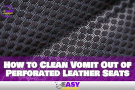 How to Safely Clean Vomit Out of Perforated Leather Seats