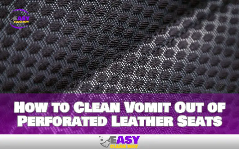 how-to-clean-vomit-out-of-perforated-leather-seats-best-way