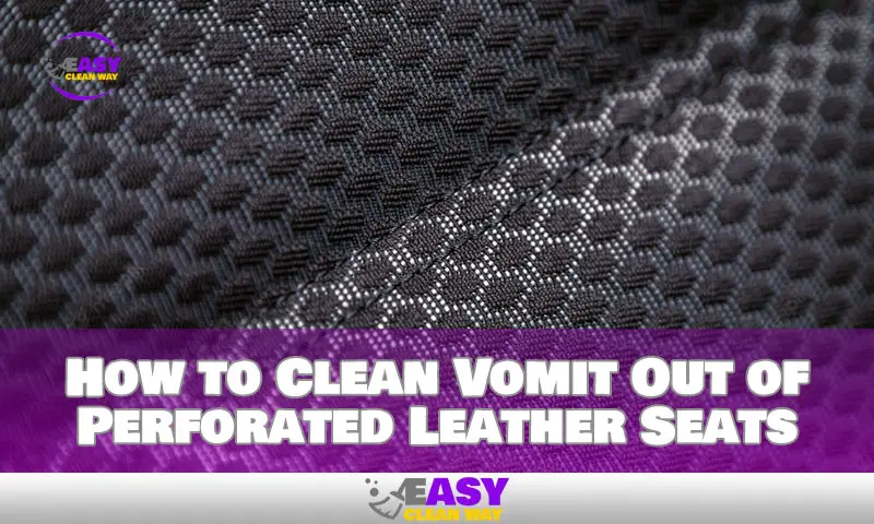 How to Clean Vomit Out of Perforated Leather Seats