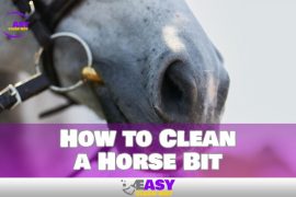 How to Clean Your Horse Bit Without Jeopardizing Health