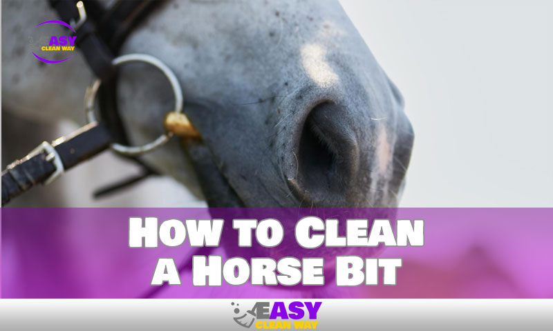 How to Clean a Horse Bit