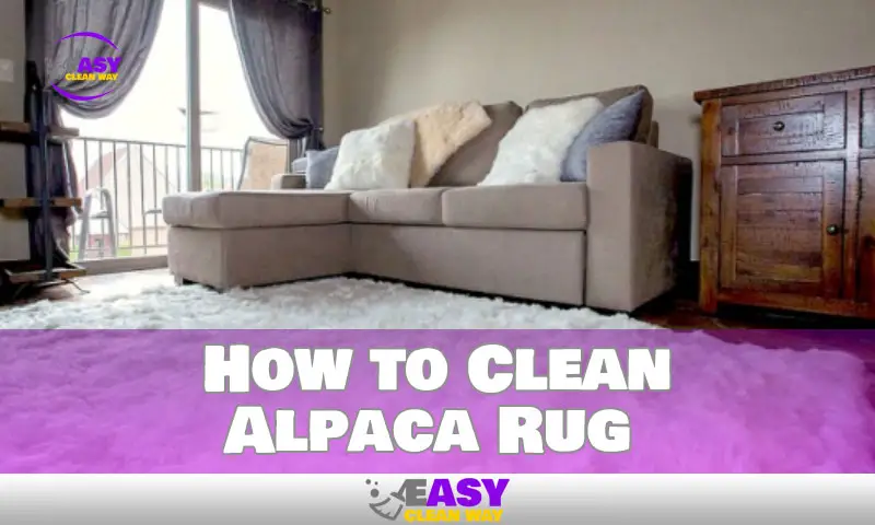 How to Clean Alpaca Rug