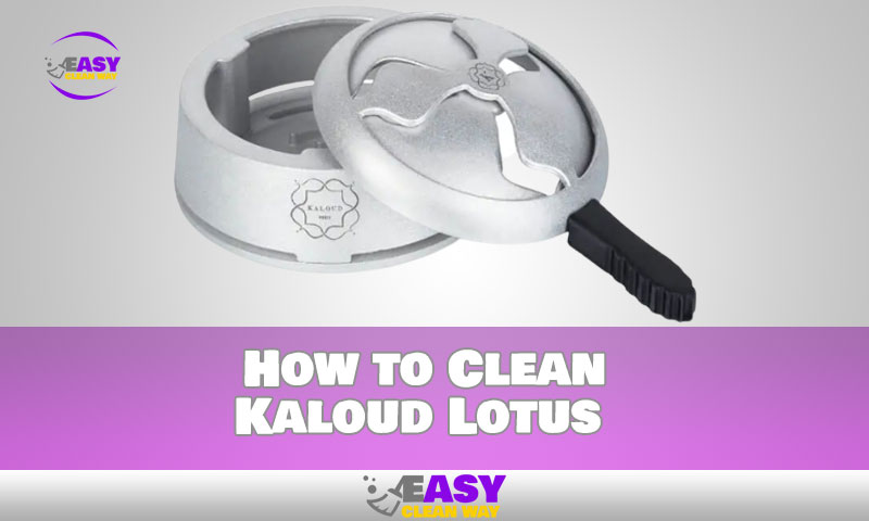 How to Clean Kaloud Lotus