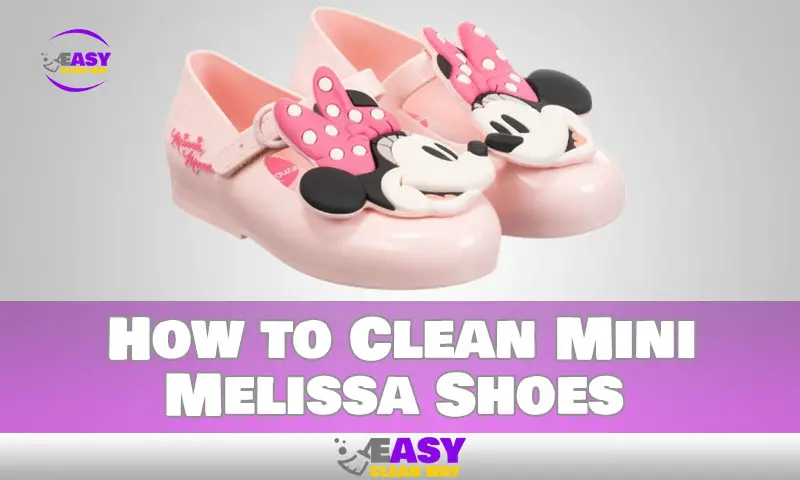 How to Clean Mini Melissa Shoes