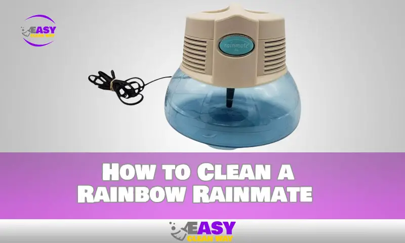 How to Clean a Rainbow Rainmate