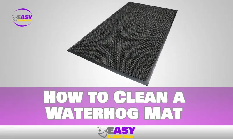 How to Clean a Waterhog Mat