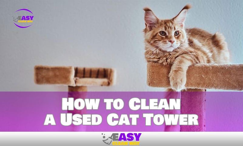 How to Clean a Used Cat Tower in a Right Way