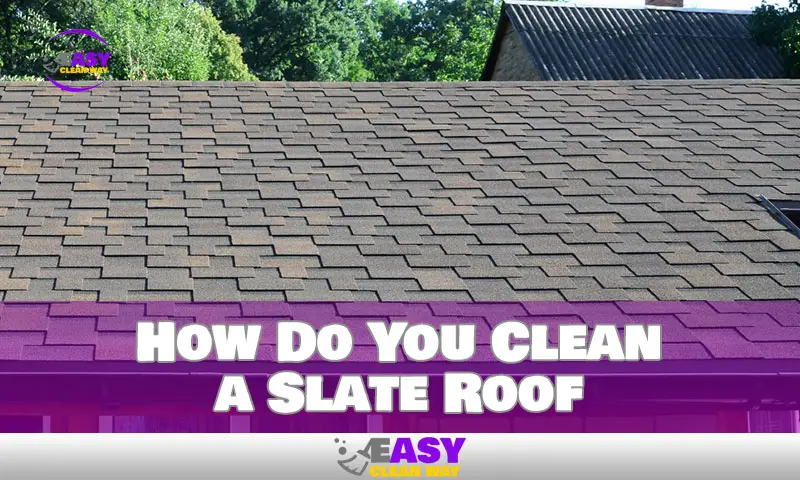 Cleaning Your Slate Roof: A Step-By-Step Guide for Homeowner