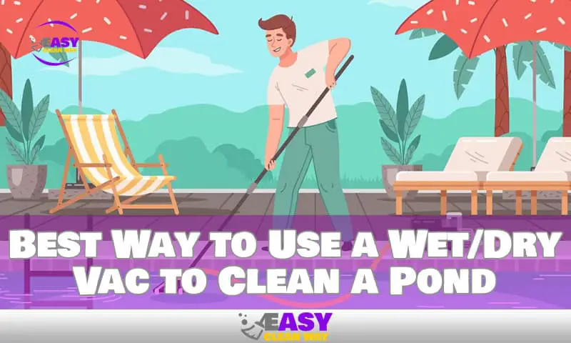 The Best Way to Use a Wet/Dry Vac to Clean a Pond