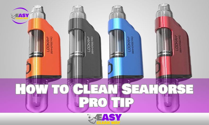 How to Clean Seahorse Pro Tip