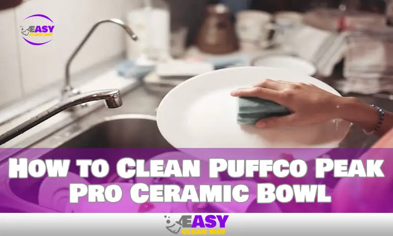 How to Clean Puffco Peak Pro Ceramic Bowl