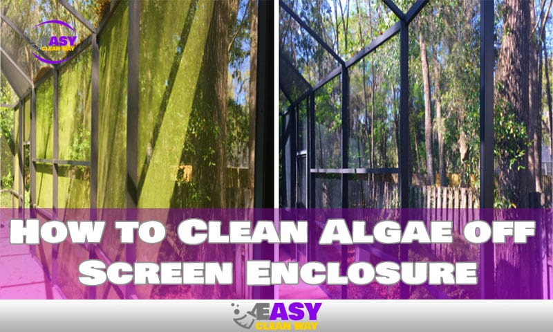 How to Clean Algae off Screen Enclosure