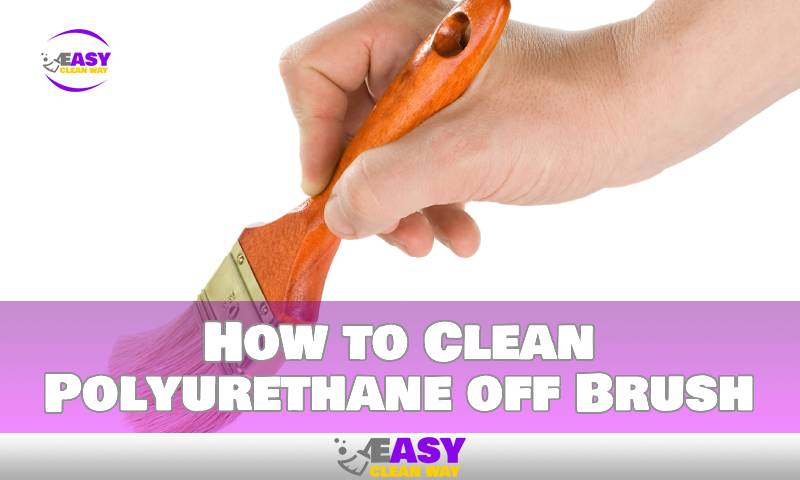 How to Clean Polyurethane off Brush