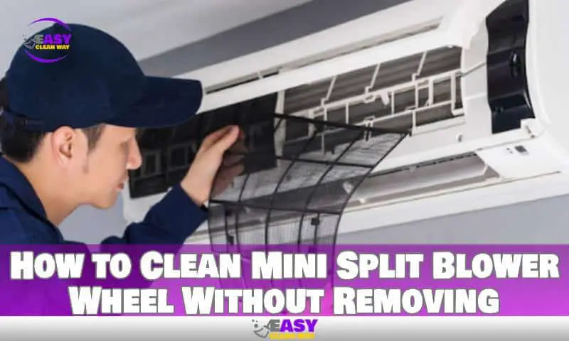 How to Clean Mini Split Blower Wheel Without Removing