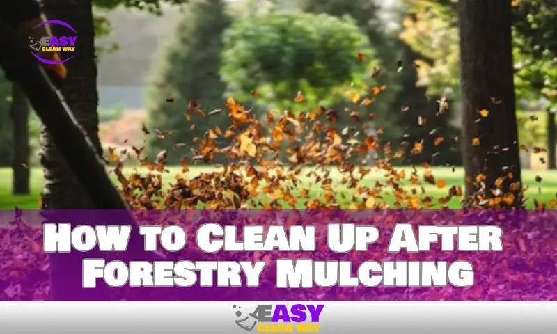 How to Clean Up After Forestry Mulching