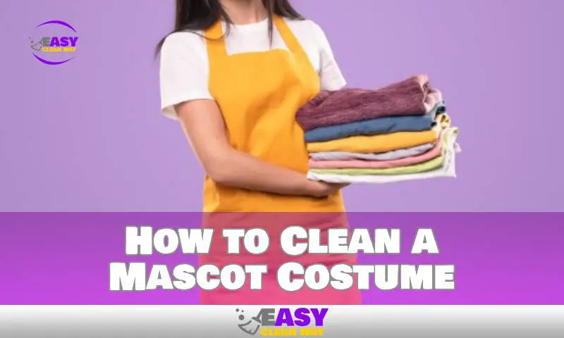How to Clean a Mascot Costume