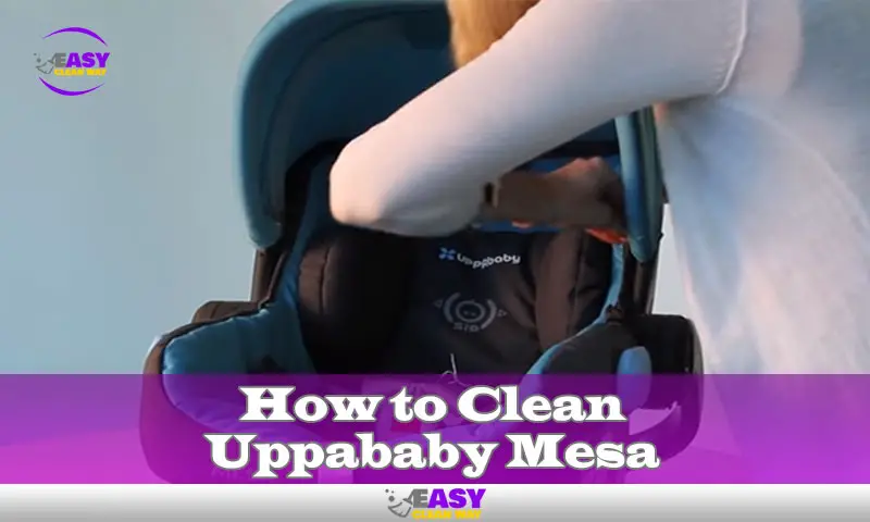 How to Clean Uppababy Mesa