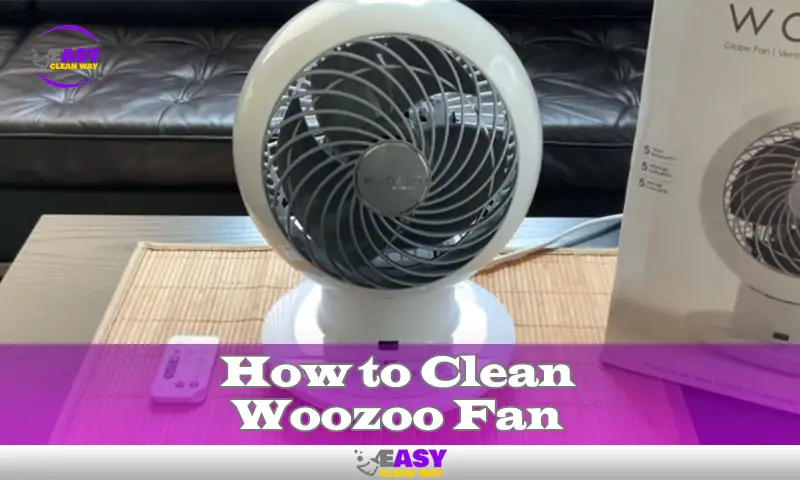 How to Clean Woozoo Fan