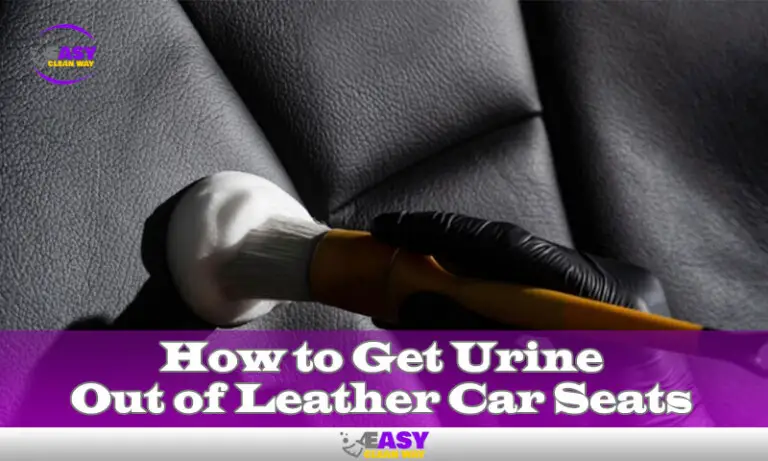 how-to-eliminate-urine-stains-from-leather-car-seats