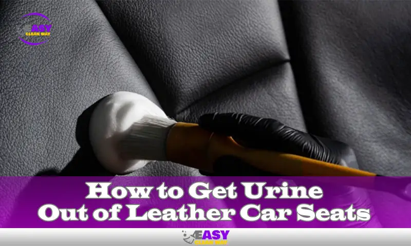 How to Get Urine Out of Leather Car Seats